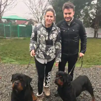 Aktör Köpek
