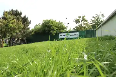Köpek Oteli