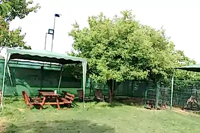 Köpek Oteli