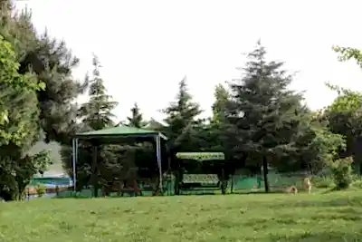 Köpek Oteli