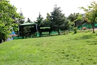 Köpek Oteli