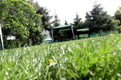 Köpek Oteli